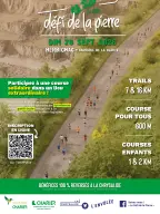 Miniature de l’affiche de Défi de la Pierre